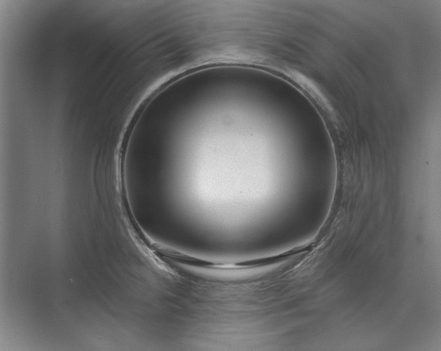 X0000072921238200608041142