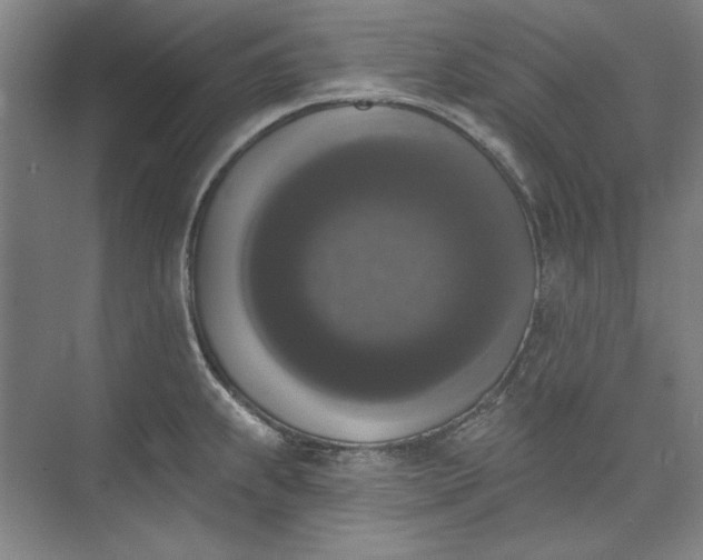 X0000072921239200608041142