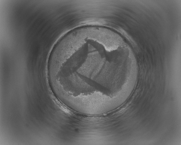 X0000072921240200608041142