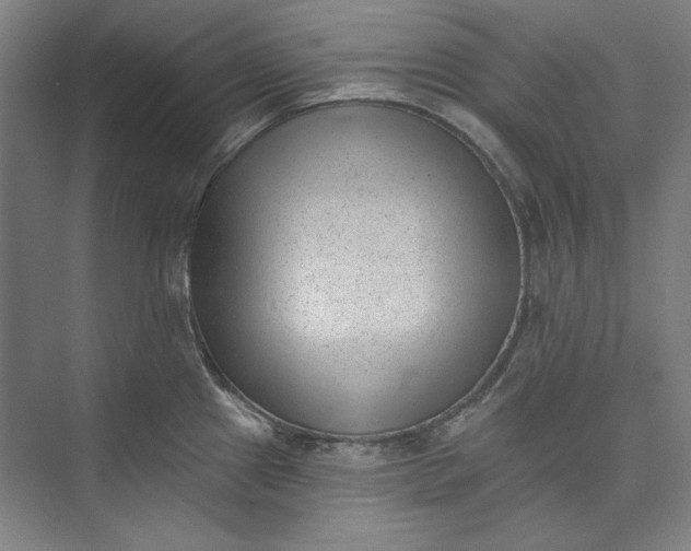X0000072921241200608041142