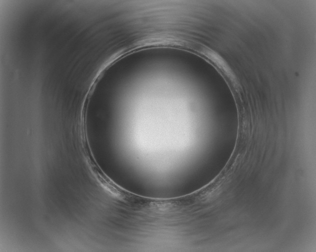 X0000072921242200608041142