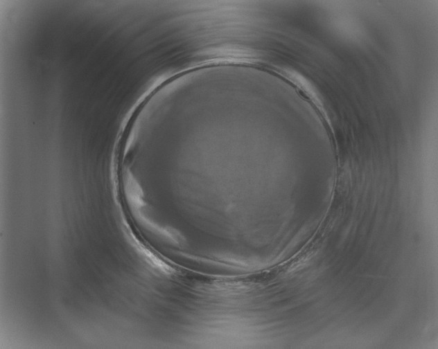 X0000072921243200608041142