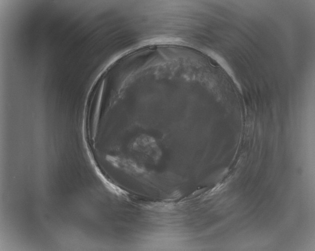 X0000072921245200608041142