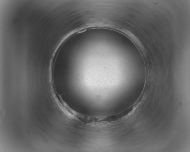 X0000072921246200608041142