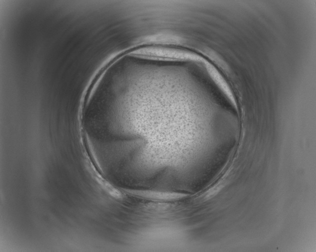 X0000072921248200608041142