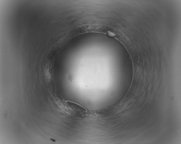 X0000072921250200608041141