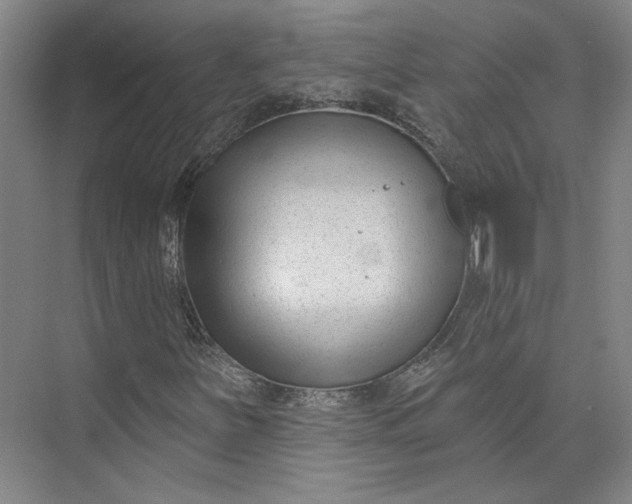X0000072921251200608041141
