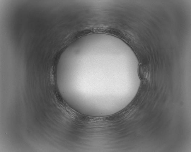 X0000072921252200608041141