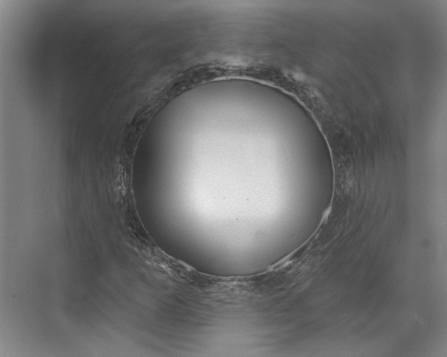 X0000072921253200608041141