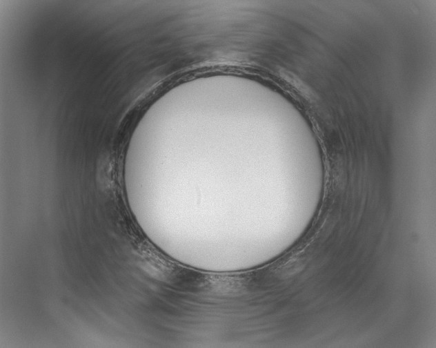 X0000072921258200608041141