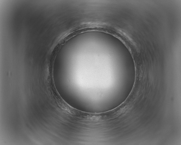 X0000072921261200608041141