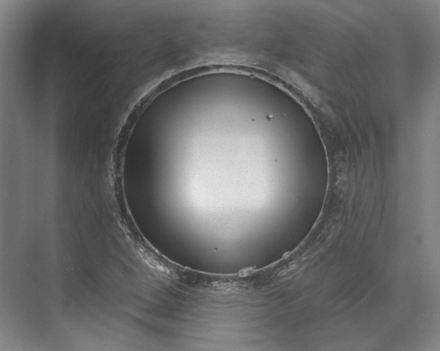 X0000072921264200608041141