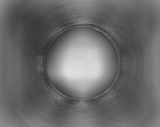 X0000072921265200608041141