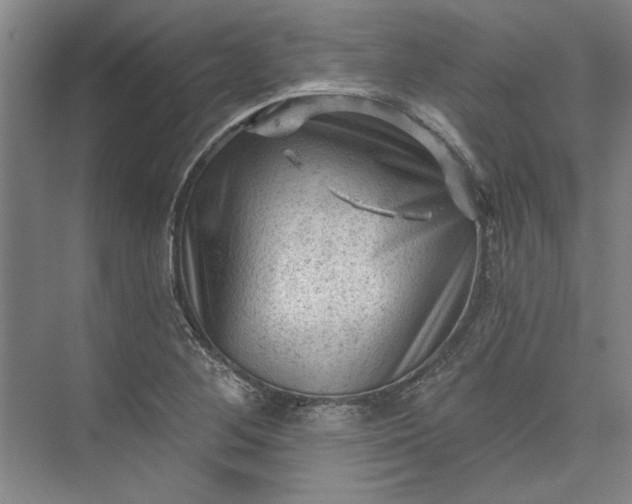 X0000072921268200608041141