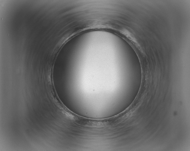 X0000072921273200608041141