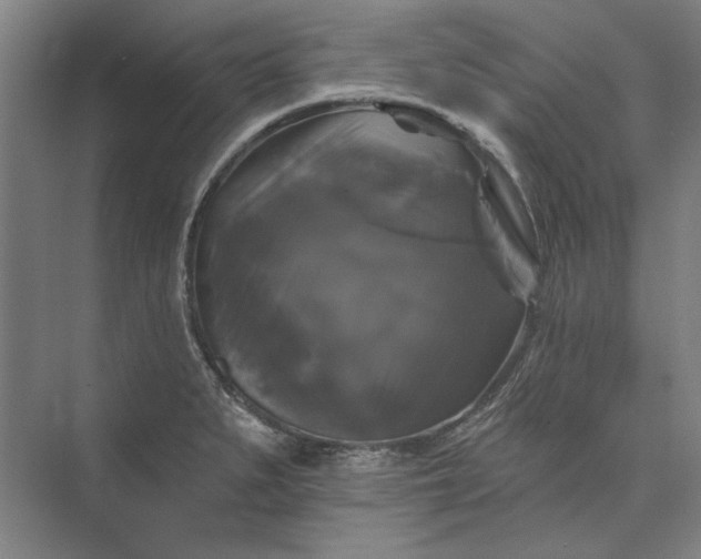 X0000072921279200608041141