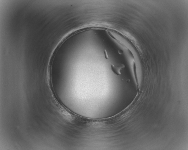 X0000072921280200608041140