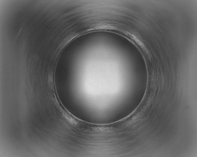 X0000072921281200608041140
