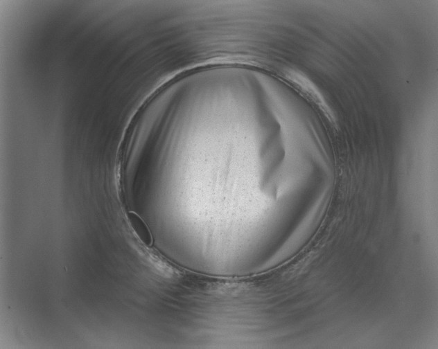 X0000072921284200608041140