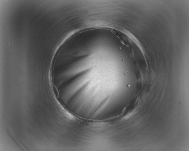 X0000072921293200608041140