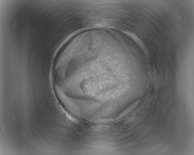 X0000072921294200608041140