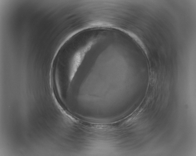 X0000072921295200608041140