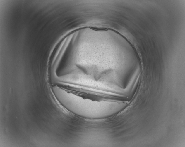 X0000072921296200608041140