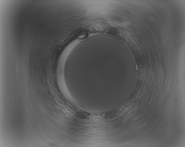X0000072921297200608041139