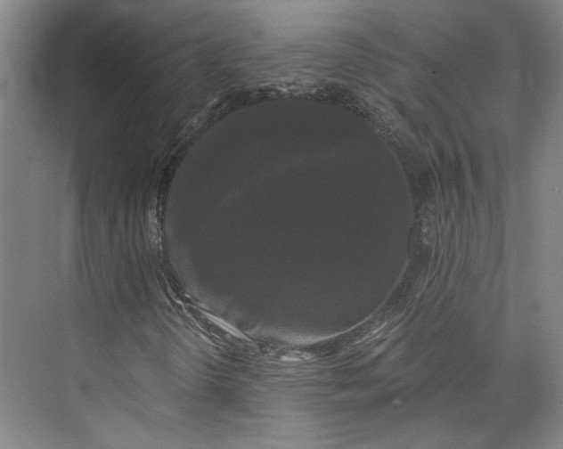 X0000072921298200608041139