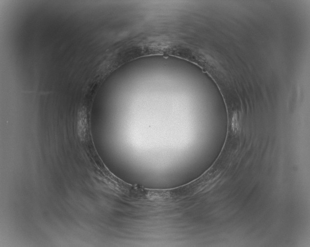 X0000072921299200608041139