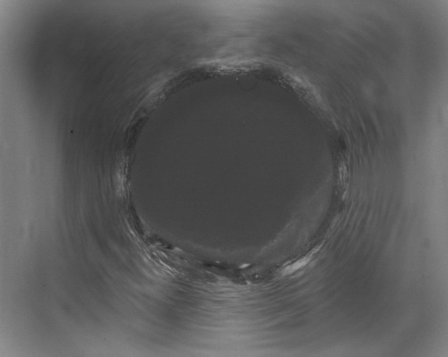 X0000072921300200608041139