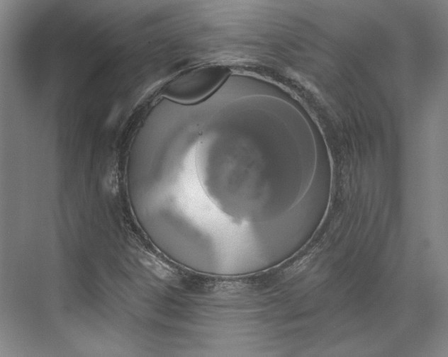 X0000072921306200608041140