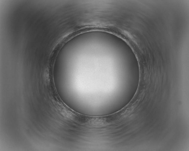 X0000072921307200608041140