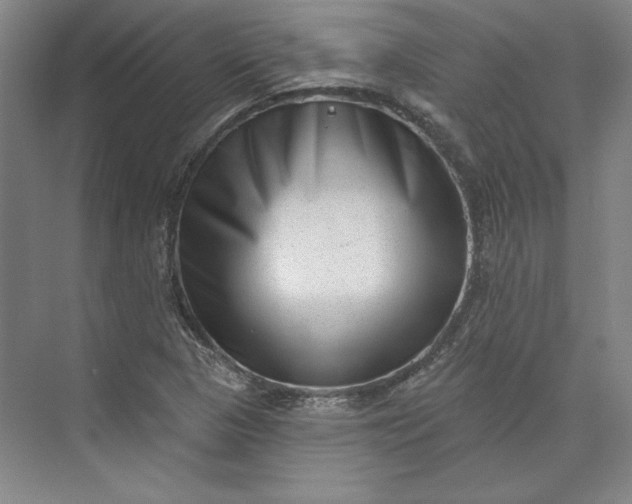 X0000072921313200608041140