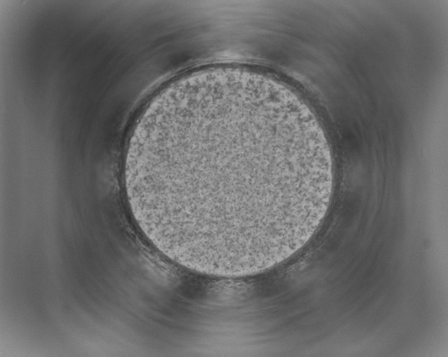 X0000072921314200608041140