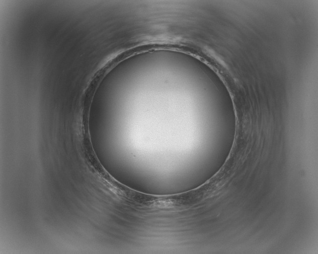 X0000072921315200608041140