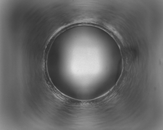 X0000072921316200608041140