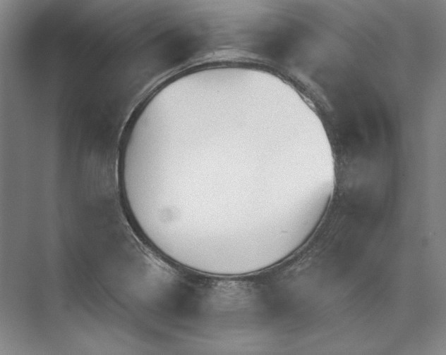 X0000072921322200608041140