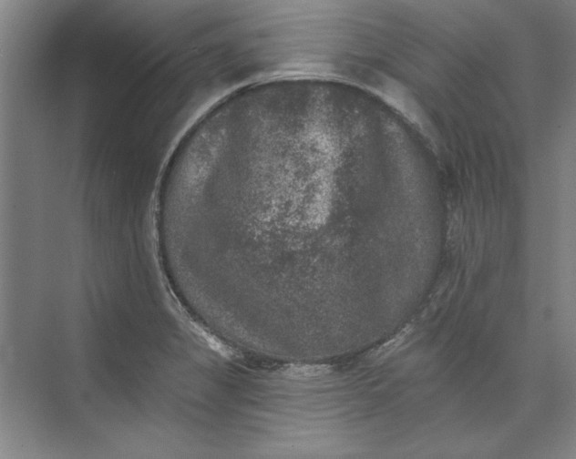X0000072921325200608041140