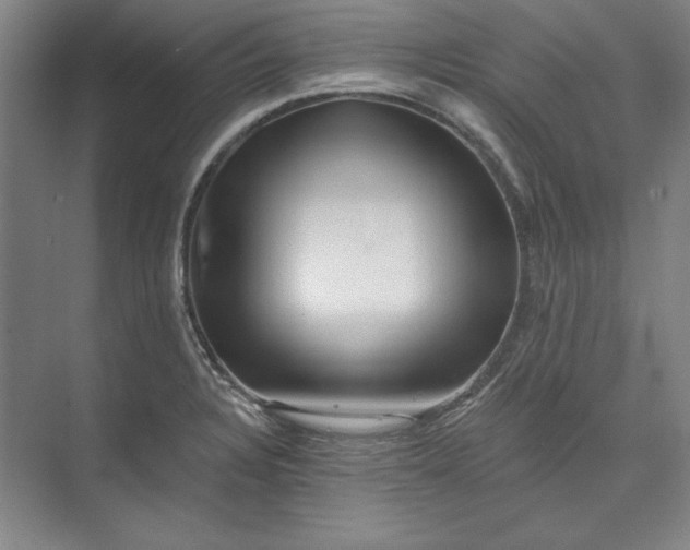 X0000072921328200608041140