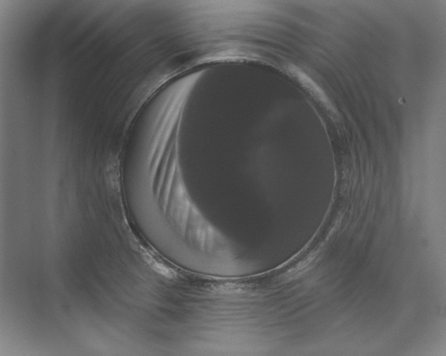 X0000072921329200608041140