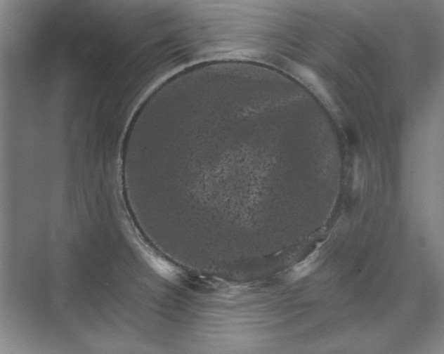 X0000072921332200608041140