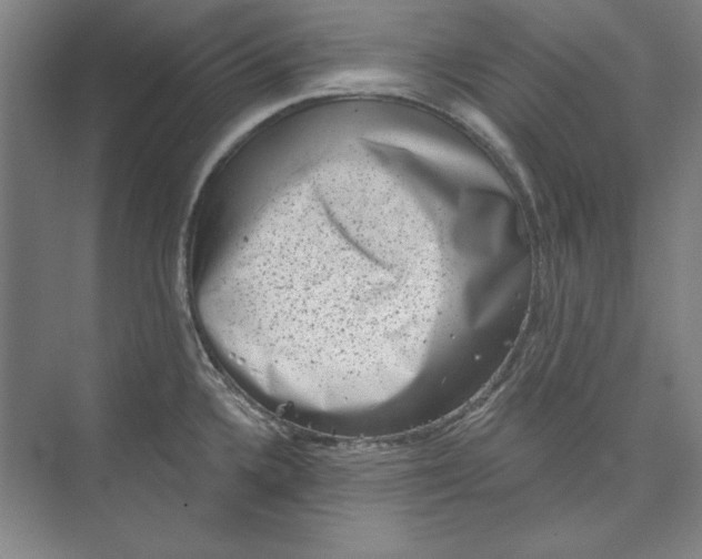 X0000072921336200608041140