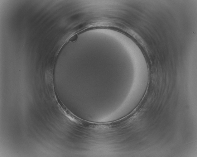 X0000072921337200608041140