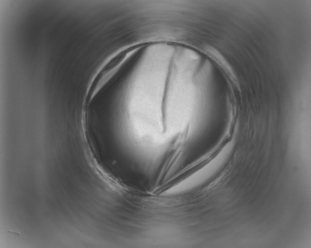 X0000072921340200608041140