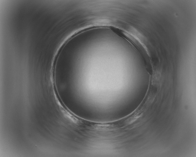X0000072921342200608041140