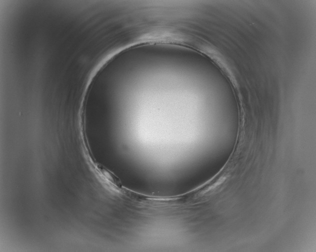 X0000072921344200608041140