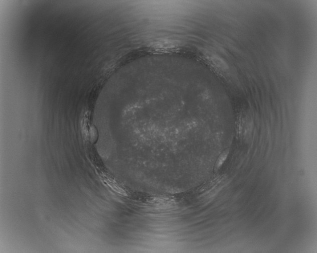 X0000072921346200608041139