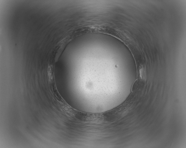 X0000072921347200608041139