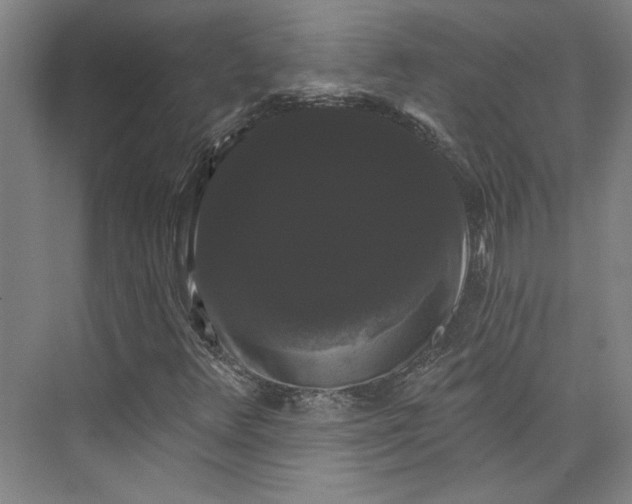 X0000072921348200608041139
